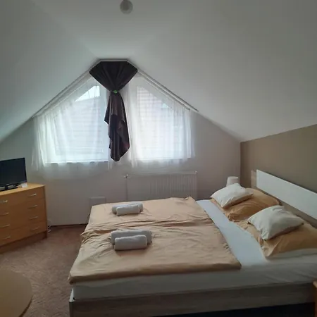 게스트하우스 Holiday Apartman Bük